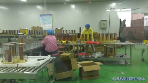 农工党白银市委会在靖远县开展农产品品牌化发展专题调研